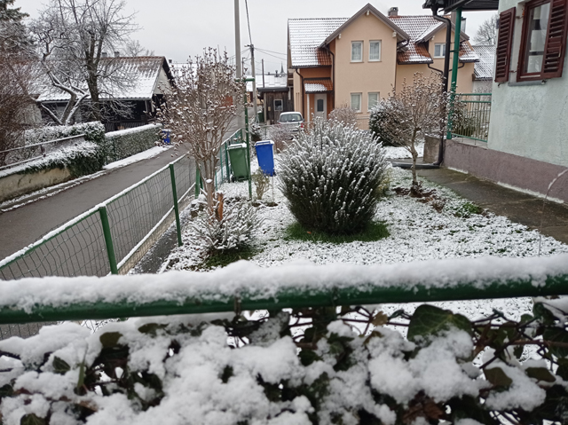 Zimska veduita iz mog  dvorišta s lipom plavom kanturinom kake krase i Trg blaženika Alojzija Stepinca u Gospiću                                                                                                                                          